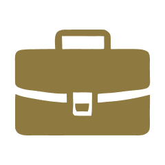 Level 1 - Operational Clarity Audit