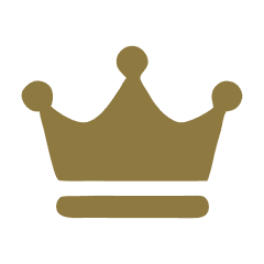 Level 3 - Strategic Command Partnership